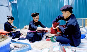 Đóng gói và dán tem bún khô. Ảnh: Nam Sương