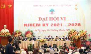 Phó Chủ tịch Thường trực Quốc hội Trần Thanh Mẫn dự Đại hội lần thứ VI Hội Người cao tuổi Việt Nam