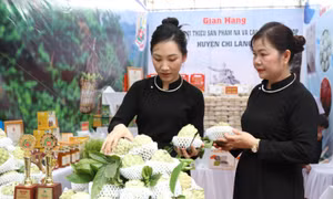 Chủ tịch UBND huyên Chi Lăng, tỉnh Lạng Sơn Vi Nông Trường phát biểu tại chương trình Ảnh: Quang Duy – TTXVN