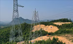 Lắp dựng cột trên địa bàn huyện Quảng Ninh, tỉnh Quảng Bình. Ảnh: Ngọc Hà - TTXVN