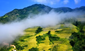 Những thửa ruộng bậc thang hùng vỹ đẹp mê hồn len lỏi trong những đám mây của mùa Thu Sa Pa. Ảnh: Quốc Khánh - TTXVN