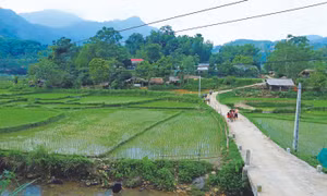 Bản làng của đồng bào dân tộc Pà Thẻn sinh sống tại tỉnh Tuyên Quang không ngừng đổi thay với nhiều ngôi nhà khang trang, đường bê tông mới xây dựng. Ảnh: An Thành Đạt