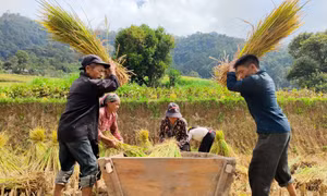 Gìn giữ nét đẹp văn hóa người Cờ Lao đỏ (Bài cuối)