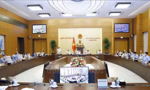 Ủy ban Thường vụ Quốc hội biểu quyết thông qua. Ảnh: Doãn Tấn - TTXVN