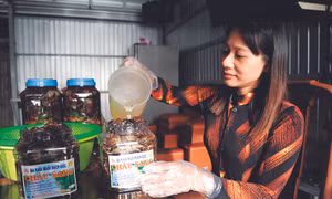 Nghề muối ba khía truyền thống ở tỉnh Cà Mau được công nhận là di sản văn hóa phi vật thể cấp Quốc gia vào cuối năm 2019. Ảnh: An Hiếu