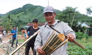 Không ai bảo ai, mỗi người một tay vót tre dựng lại ngôi nhà của gia đình bà Đinh Thị Xấu bị sập sau bão Noru. Ảnh: Phạm Cường - TTXVN