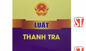 Năm luật có hiệu lực thi hành kể từ ngày 1/7/2023