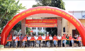 Các đại biểu cắt băng xuất khẩu lô thanh long ruột đỏ sang thị trường Liên bang Nga. Ảnh: Hữu Quyết – TTXVN