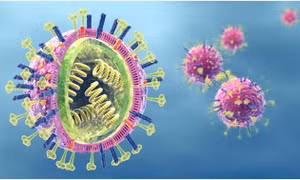 Xác định các kháng thể ngăn chặn nhiều chủng virus cúm B