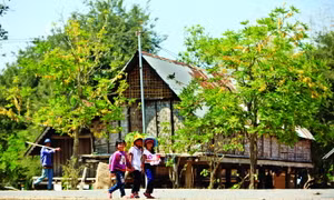 Con đường vào buôn M’Liêng được thảm nhựa, không gian buôn làng thanh bình, cổ kính. Ảnh: Y Quang Bkrông