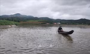 CCB Phạm Văn Luốn (sinh năm 1970, trú xã Đăk Mar, huyện Đăk Hà, tỉnh Kon Tum) nuôi trồng thủy sản trên tổng diện tích mặt nước khoảng 30ha, tổng thu nhập trên 13 tỷ đồng/năm, tạo việc làm cho 20 lao động thường xuyên. Ảnh: Dư Toán – TTXVN