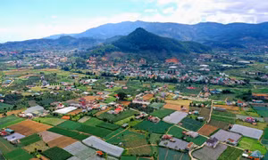 Huyện Đơn Dương (Lâm Đồng) hiện có trên 11.000 ha rau, hoa ứng dụng công nghệ cao (chiếm 94,3% diện tích đất canh tác toàn huyện), giá trị sản xuất nông nghiệp đạt 220 triệu đồng/ha/năm. Ảnh: Ngọc Hà