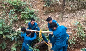 Lực lượng chuyên môn di dời quả bom. Ảnh: TTXVN phát