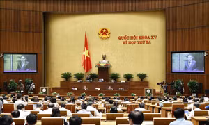 Toàn cảnh phiên họp. Ảnh: Doãn Tấn – TTXVN