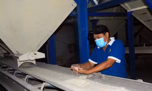 Chế biến gạo tại Công ty TNHH Sản xuất - Thương mại Phước Thành IV (huyện Long Hồ, tỉnh Vĩnh Long). Ảnh: Phạm Minh Tuấn-TTXVN.