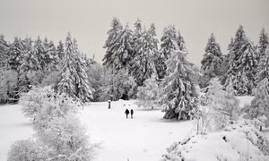 Tuyết phủ trắng xóa trên núi Kahler Asten ở gần Winterberg, Đức. Ảnh: AFP/TTXVN