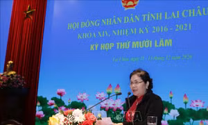 Bà Giàng Páo Mỷ, Bí thư Tỉnh ủy, Trưởng đoàn đại biểu Quốc hội, Chủ tịch HĐND tỉnh khóa XIV, nhiệm kỳ 2016-2021 phát biểu. Ảnh: Quý Trung – TTXVN