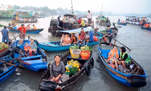Mùa xuân vùng sông nước Cửu Long