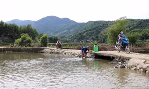 Suối Khoang Cửa với mục đích tưới tiêu nông nghiệp nhưng do không có nước nên người dân phải dùng để tắm giặt hàng ngày. Ảnh: Thanh Hải – TTXVN