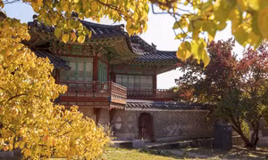 Mùa thu vàng tại Cung điện Changdeokgung, Cung lớn thứ 2 ở Thủ đô Seoul. Ảnh: Anh Nguyên - PV TTXVN tại Hàn Quốc