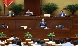 Bộ trưởng, Chủ nhiệm Ủy ban Dân tộc Hầu A Lềnh trả lời chất vấn. Ảnh: Doãn Tấn – TTXVN
