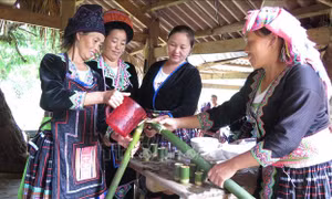 Rượu của người dân bản Sin Suối Hồ được đong bằng ống tre, nứa, mang đậm bản sắc người dân tộc Mông vùng cao. Ảnh: Việt Hoàng-TTXVN