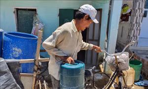 Người dân xã Mỹ Chánh (huyện Phù Mỹ) hàng ngày phải đi mua nước sạch về sử dụng vì giếng khô cạn hoặc bị nhiễm phèn, mặn. Ảnh: Tường Quân - TTXVN.