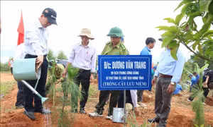 Bí thư Tỉnh ủy Kon Tum Dương Văn Trang trồng cây tại Lễ ra quân. Ảnh: TTXVN phát