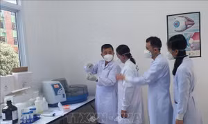 Cán bộ y tế đoàn Quảng Bình và tỉnh Khăm Muộn trao đổi, chia sẻ kinh nghiệm, hỗ trợ công tác phòng, chống dịch. Ảnh: TTXVN phát