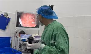 Các bác sĩ tiến hành nội soi gắp dị vật ra khỏi hành tá tràng của bệnh nhân. Ảnh: TTXVN phát