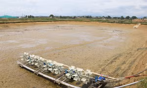 Quảng Trị cần sớm hỗ trợ người nuôi tôm bị thiệt hại nặng