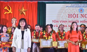 Ban chỉ đạo tôn vinh 52 cá nhân tiêu biểu. Ảnh: Nguyên Dung – TTXVN