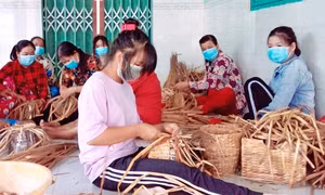 Hiệu quả từ mô hình giúp chị em phụ nữ Khmer nghèo