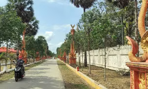 Diện mạo nông thôn mới ở vùng quê Bạc Liêu. Ảnh: Chanh Đa-TTXVN