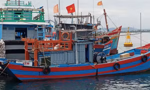 Tàu thuyền có công suất lớn của xã đảo Tam Hải (Núi Thành, Quảng Nam) được bố trí chỗ neo đậu an toàn trong mùa mưa bão. Ảnh: Đoàn Hữu Trung - TTXVN
