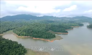 Hệ thống đảo, bán đảo vươn chân ra lòng hồ, tạo nên những vùng vịnh trên lòng hồ Pá Khoang. Ảnh: Xuân Tiến – TTXVN