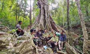 Lực lượng kiểm lâm, cán bộ, nhân viên vườn Quốc gia Kon Ka Kinh và người dân nhận khoán trao đổi phương án bảo vệ rừng. Ảnh: Hồng Điệp – TTXVN