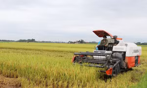 Phú Bình hướng tới huyện nông thôn mới đầu tiên của tỉnh Thái Nguyên