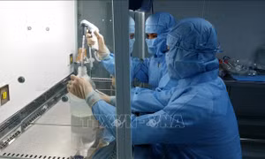 Nghiên cứu sản xuất vaccine trên trứng gà có phôi tại nhà máy sản xuất vaccine đặt ở huyện Cam Lâm, tỉnh Khánh Hòa. Ảnh: TTXVN phát