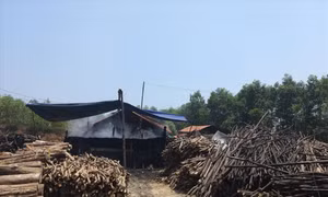 Sập lò đốt củi than tại Gia Lai, bốn người bị thương