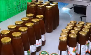 Một số sản phẩm OCOP được chiết xuất từ hoa dừa như nước uống mật hoa dừa, mật hoa dừa cô đặc, đường mật hoa dừa. Ảnh: Thanh Hòa