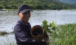 Niềm vui của người dân khi bắt được nhiều cá bởi theo quan niệm, ai bắt được nhiều cá và cá to thì sẽ làm ăn may mắn trong suốt cả năm. Ảnh: Hoàng Ngà – TTXVN
