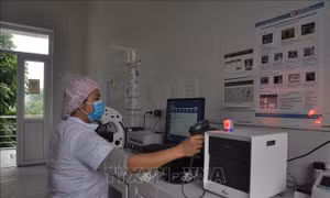 Bác sĩ của Bệnh viên Lao và Bệnh phổi tỉnh Yên Bái thực hiện quy trình xét nghiệm Gene Xpert MTB/RIF. Ảnh: Việt Dũng – TTXVN