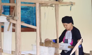  Phụ nữ dân tộc thiểu số Lào Cai gìn giữ nét văn hóa truyền thống