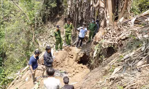 Hiện trường nơi thi thể nạn nhân Lù Kim Mìn được tìm thấy. Ảnh: TTXVN phát.