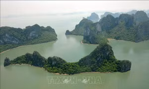 Quảng Ninh: Chiêm ngưỡng kỳ quan thế giới và thành phố bên bờ di sản từ trên cao
