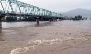 Lũ trên sông Kỳ Lộ (đoạn qua thị trấn La Hai, huyện Đồng Xuân) đang lên cao. Ảnh: Xuân Triệu – TTXVN