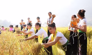 Đặc sắc lễ hội Kin lẩu khẩu mẩu của đồng bào dân tộc Thái ở Lai Châu