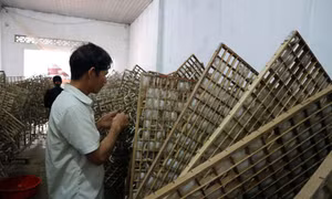 Người K’ho ở buôn Klong Tum áp dụng công nghệ, khoa học - kỹ thuật vào chăn nuôi, sử dụng khung lưới chăn tằm. Ảnh: Chu Quốc Hùng