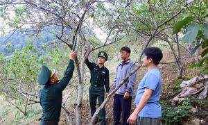 Với sự tích cực phối hợp, hỗ trợ của lực lượng biên phòng, xã biên giới Chiềng Tương, huyện Yên Châu đã và đang đổi thay từng ngày. Ảnh: Quang Quyết